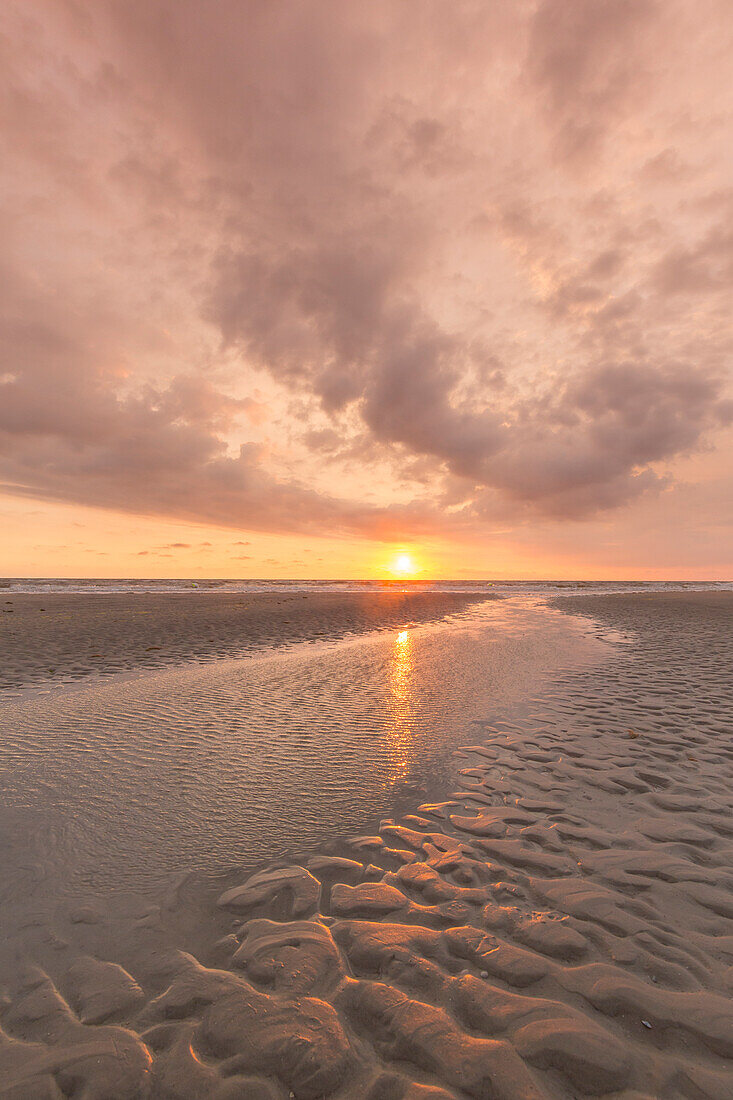  Evening atmosphere in the mudflats, Wadden Sea National Park, North Friesland, Schleswig-Holstein, Germany 