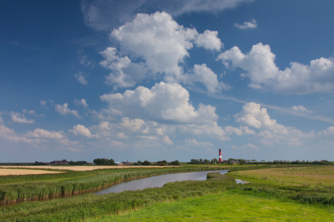  Lighthouse, Pellworm Island, North Frisia, Schleswig-Holstein, Germany 