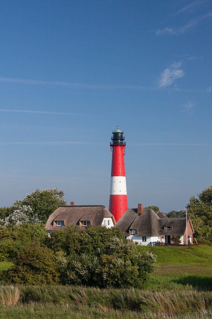 Leuchtturm, Insel Pellworm, Nordfriesland, Schleswig-Holstein, Deutschland