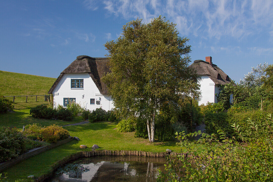  Thatched roof house, Pellworm Island, North Friesland, Schleswig-Holstein, Germany 