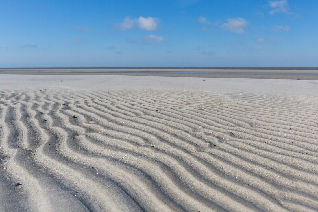  Ripple marks, structures in the mudflats, Wadden Sea National Park, Schleswig-Holstein, Germany 