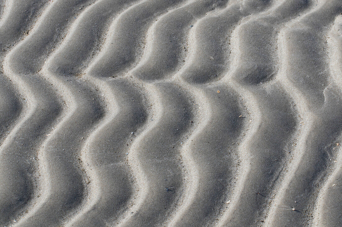  Ripple marks, structures in the mudflats, Wadden Sea National Park, Schleswig-Holstein, Germany 