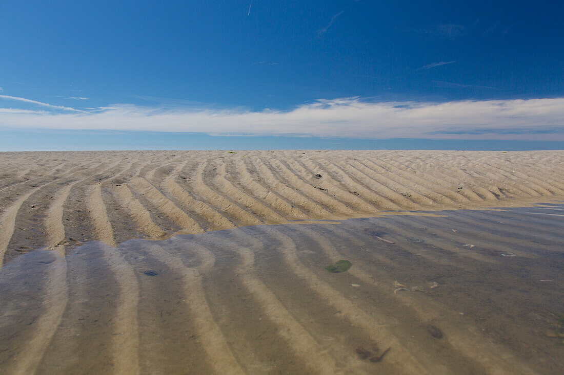  Ripple marks, structures in the mudflats, Wadden Sea National Park, Schleswig-Holstein, Germany 