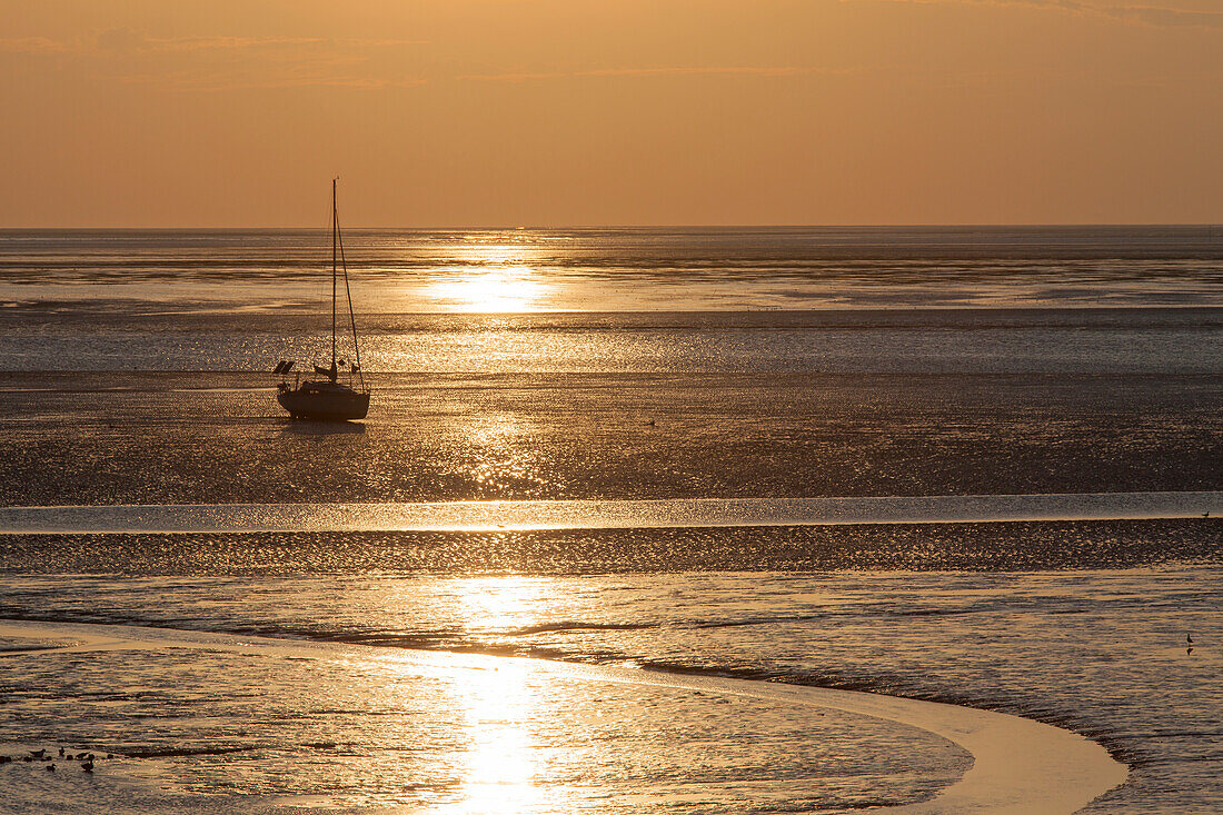  Sailing boat in the Wadden Sea, Wadden Sea National Park, Pellworm Island, North Friesland, Schleswig-Holstein, Germany 