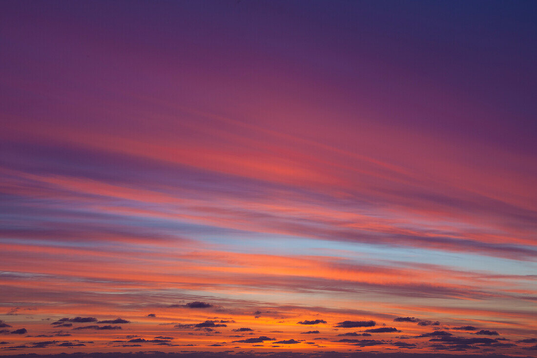 Wolken im Abendlicht, Eiderstedt, Nordfriesland, Nationalpark Wattenmeer, Schleswig-Holstein, Deutschland