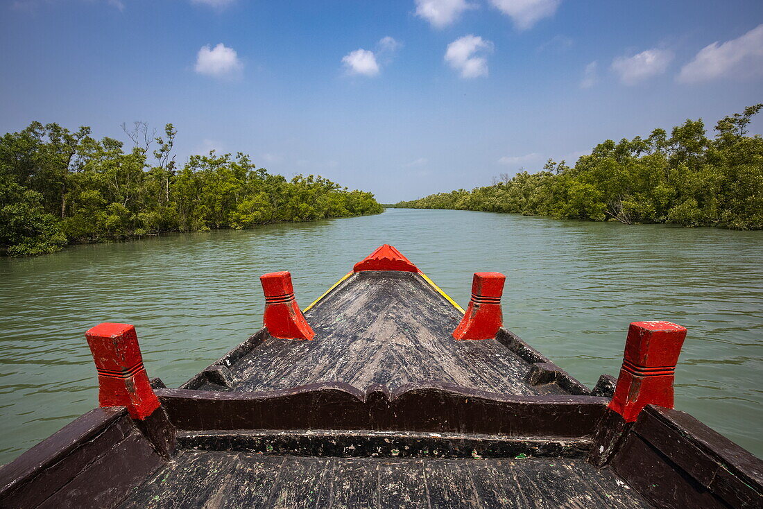  Bow of a local boat during an excursion through canals in the Sundarbans mangrove area, near Pakhiralay, near Gosaba, South 24 Parganas district, West Bengal, India, Asia 