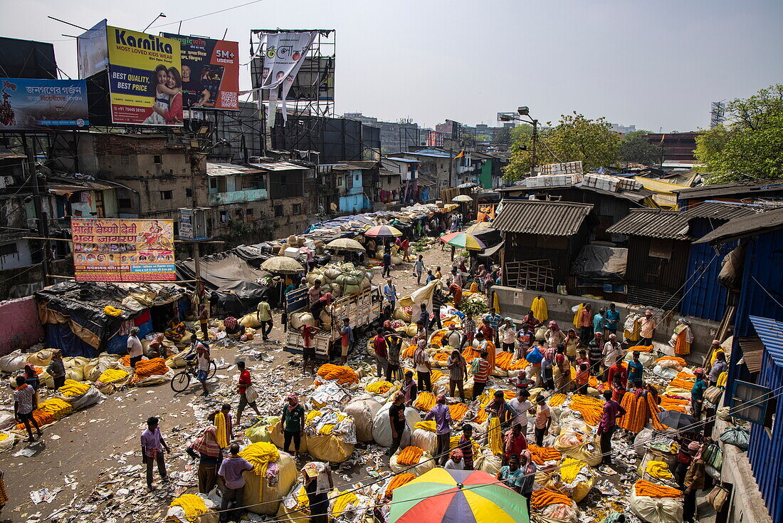  There is hustle and bustle everywhere at the Mullick Ghat Flower Market, Kolkata, Kolkata, India, Asia 