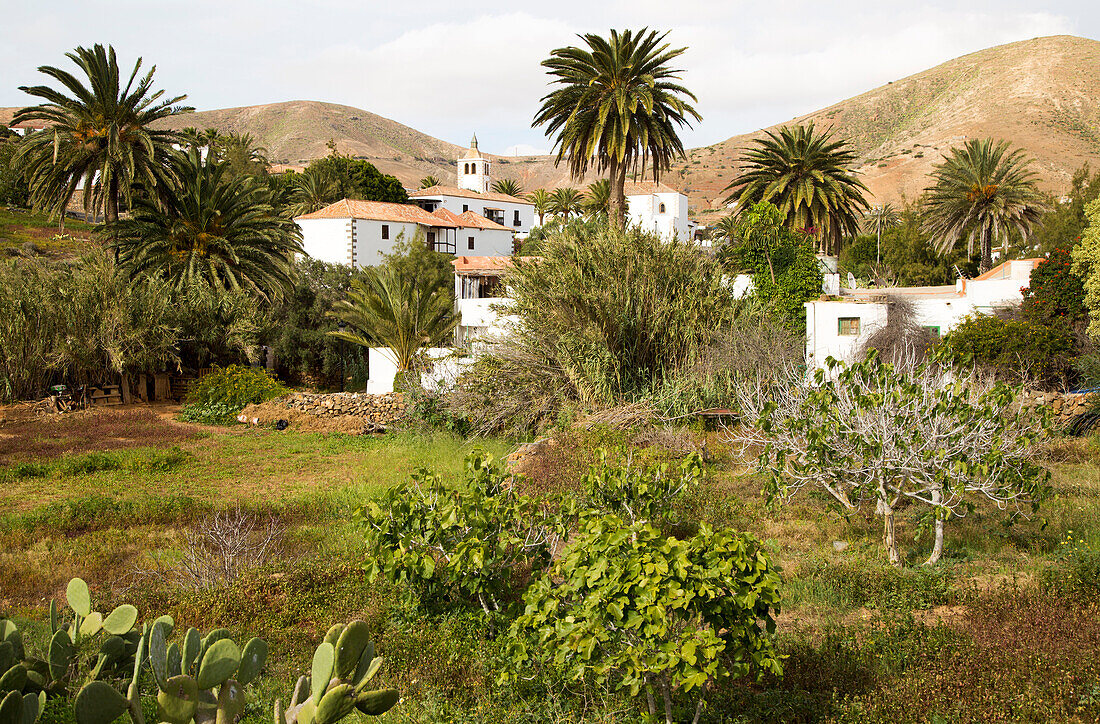  Historische Dorfkirche Iglesia de Santa Maria, Betancuria, Fuerteventura, Kanarische Inseln, Spanien 