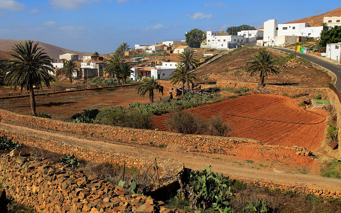  Ackerland und Häuser im Dorf Toto, Pajara, Fuerteventura, Kanarische Inseln, Spanien 