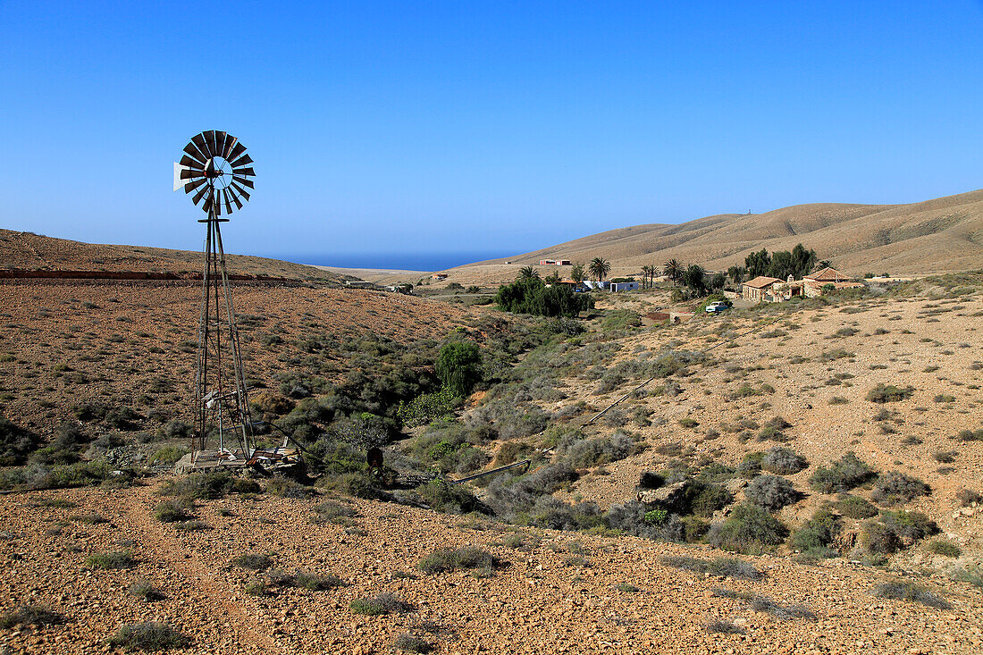  Artesischer Brunnen in Fayagua, zwischen Pajara und La Pared, Fuerteventura, Kanarische Inseln, Spanien 