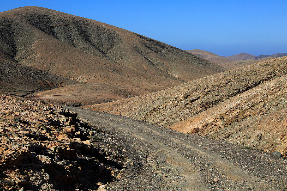  Kahle, mondähnliche, trockene Landschaft in den Bergen zwischen Pajara und La Pared, Fuerteventura, Kanarische Inseln, Spanien 