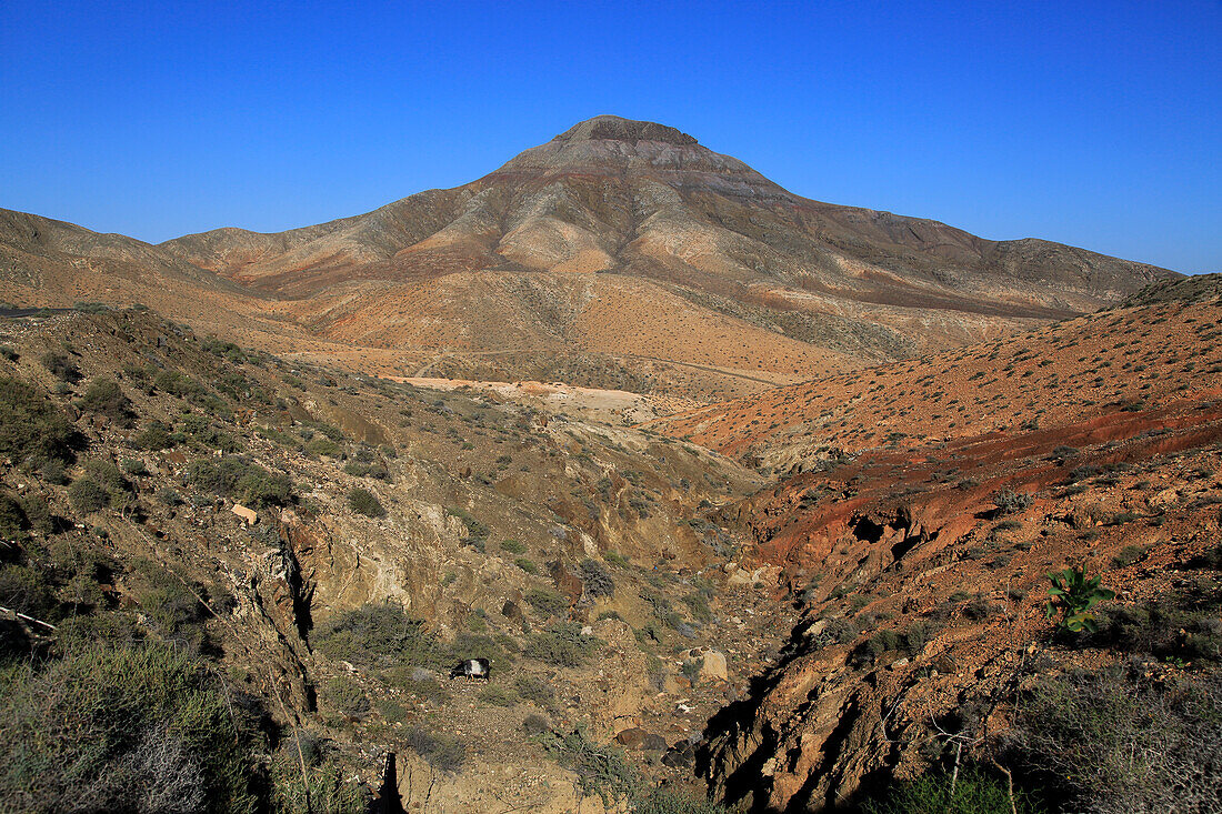  Kahle, mondähnliche, trockene Landschaft in den Bergen zwischen Pajara und La Pared, Fuerteventura, Kanarische Inseln, Spanien 