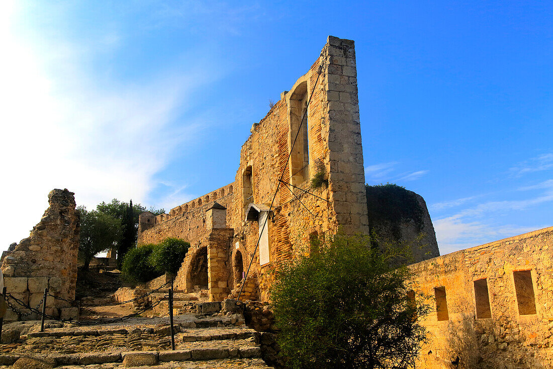 Burg von Xàtiva oder Jativa, Provinz Valencia, Spanien