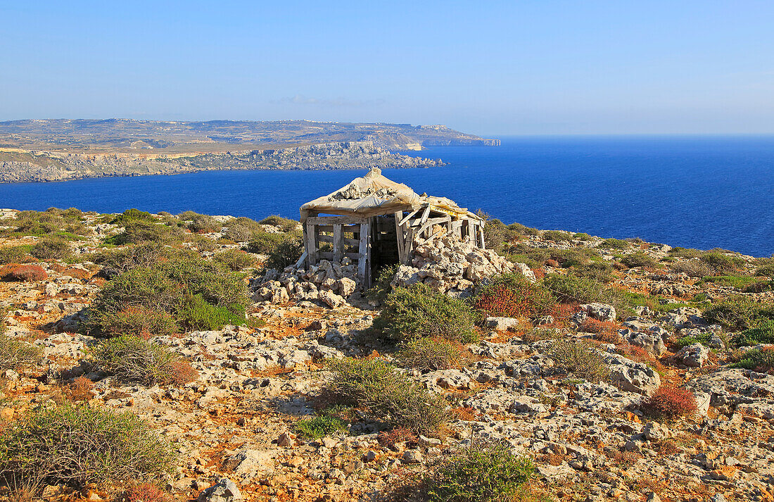 Coastal scenery vegetation blue sea looking south from Res il-Qammieh, Marfa Peninsula, Republic of Malta