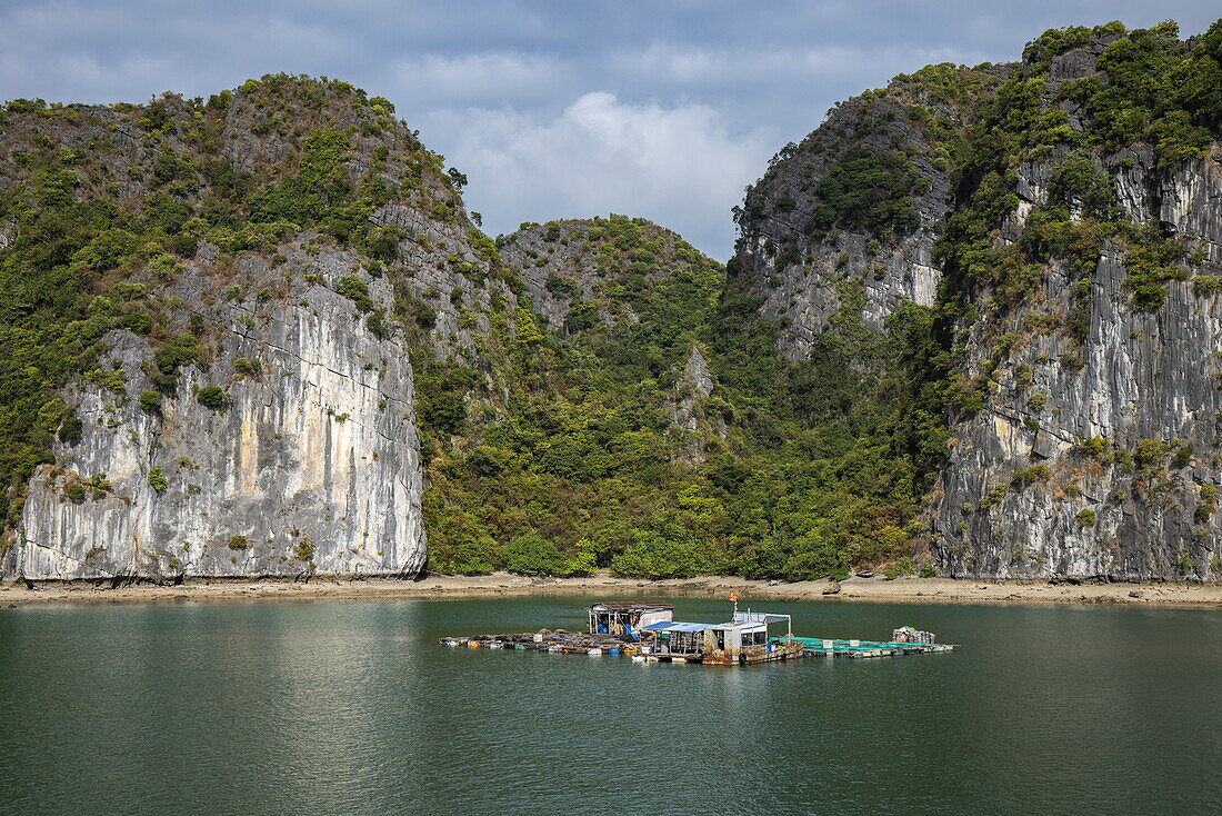 Fischfarm und Karstinseln, Bucht Lan Ha Bay, Haiphong, Vietnam, Asien