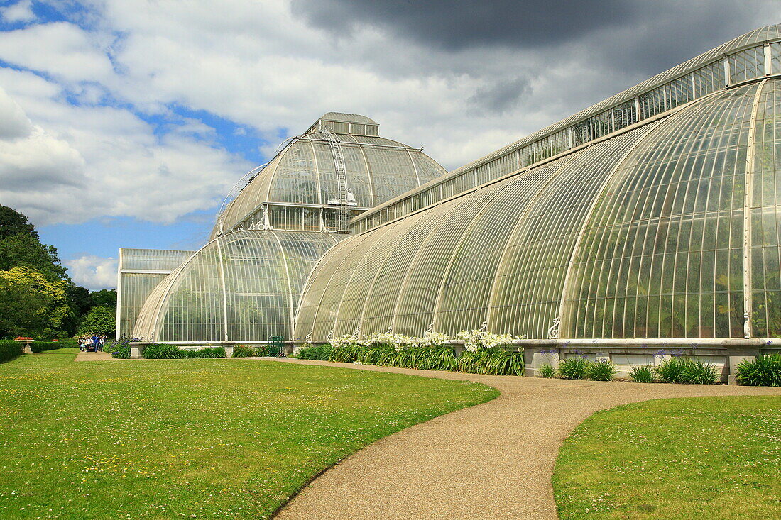 Das Palmenhaus im Royal Botanic Gardens, Kew, London, England, Großbritannien