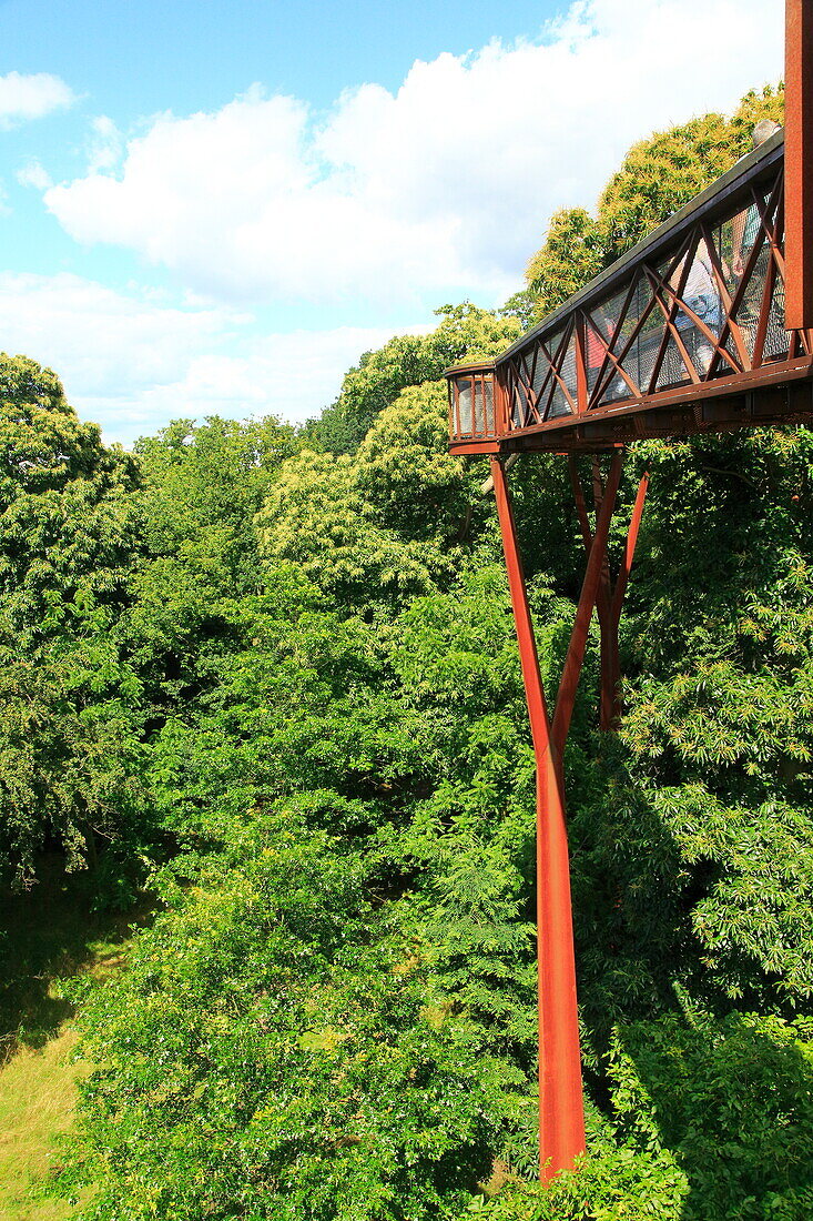 Xstrata Baumwipfelpfad, Royal Botanic Gardens, Kew, London, England, Großbritannien