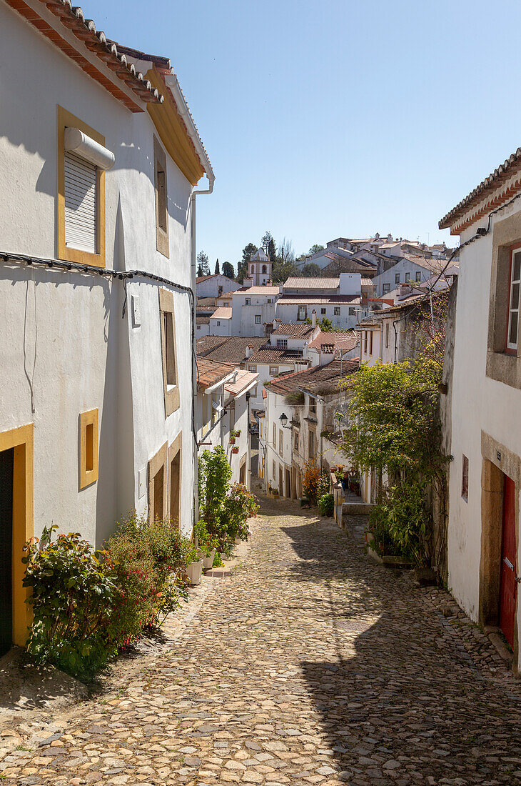 Cobbled street in Judiara the former Jewish part of Castelo de Vide, Alto Alentejo, Portugal, southern Europe