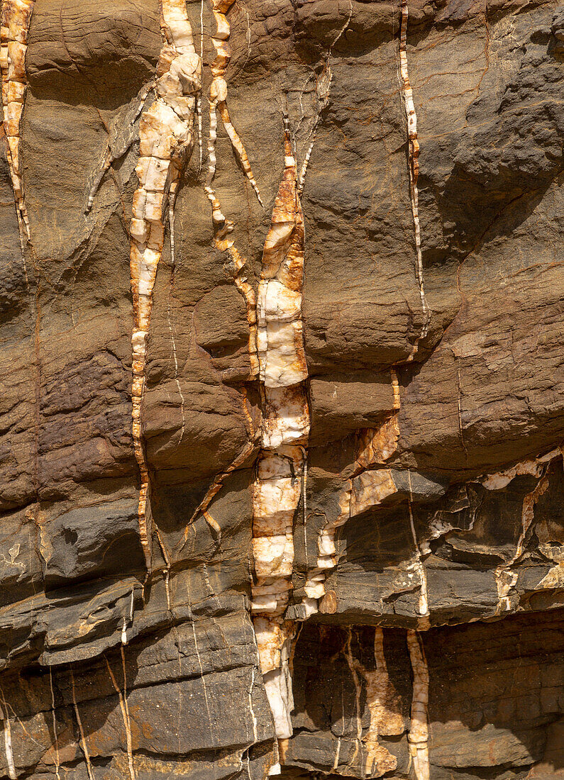 Weiße Quarzitadern, Schichten aus metamorphem Sedimentgestein in der Küstenklippe an der Atlantikküste bei Odeceixe, Algarve, Portugal, Südeuropa