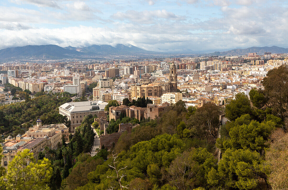 Ansicht über Stadtzentrum mit dichter Bebauung, Malaga, Andalusien, Spanien, Kathedrale im Zentrum