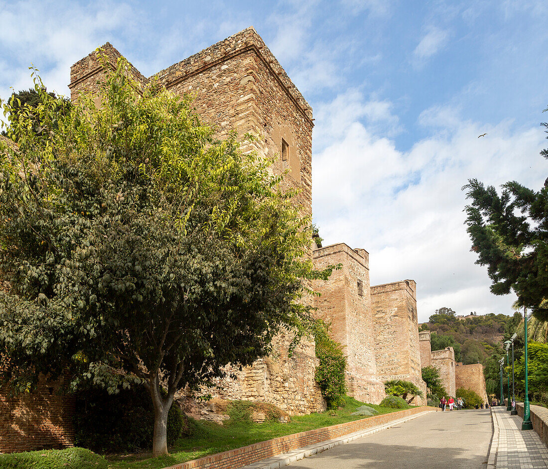 Historische ummauerte Verteidigungsanlage zum maurischen Zitadellen Festungspalast der Alcazaba, Malaga, Andalusien, Spanien