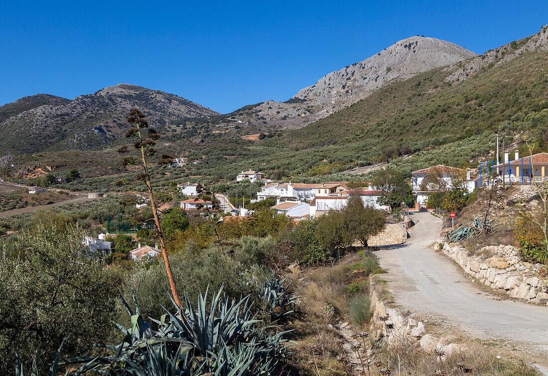 Small village of Aldea de Guaro, Periana, Axarquía, Andalusia, Spain at base of limestone mountains