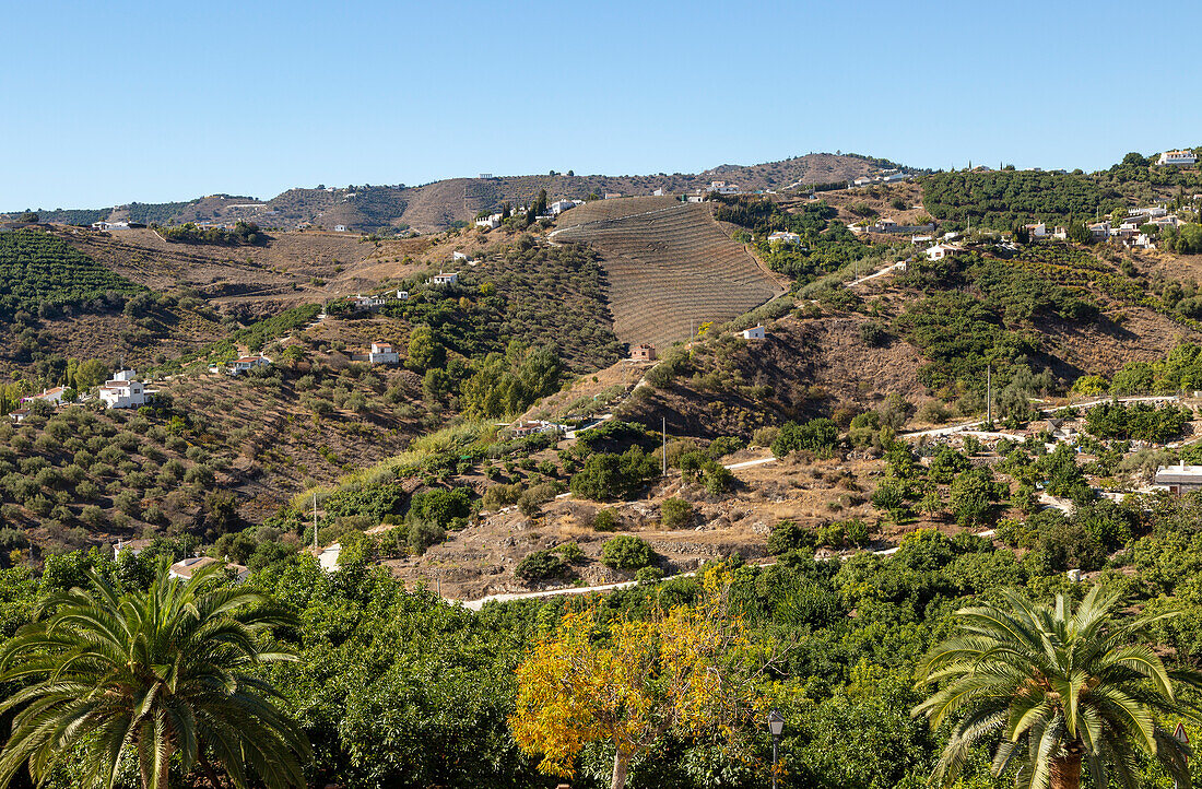 Landschaft Hügel mit Bauernhöfen und Bauernhäusern, Frigiliana, Axarquía, Andalusien, Spanien