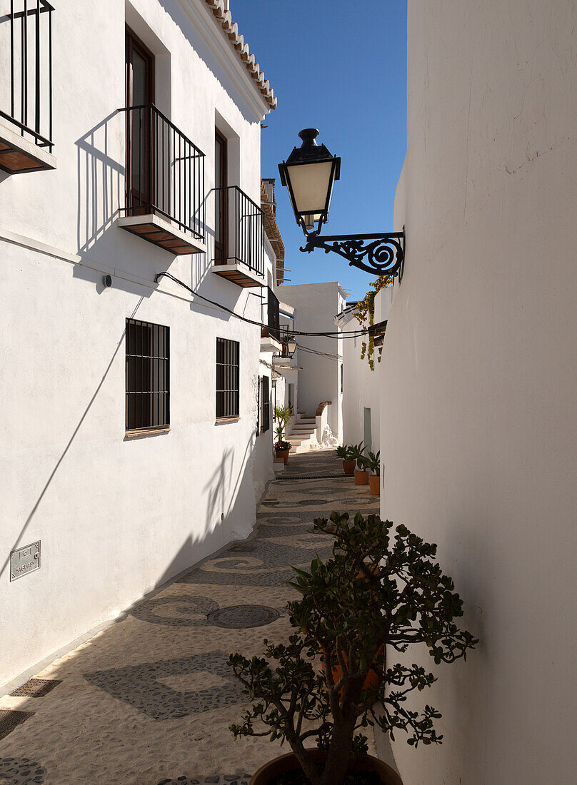 Traditional pueblo blanco narrow streets whitewashed houses, village of Frigiliana, Axarquía, Andalusia, Spain