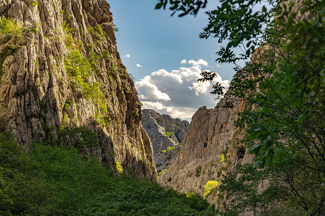  Velika Paklenica canyon in Paklenica National Park, Croatia, Europe  