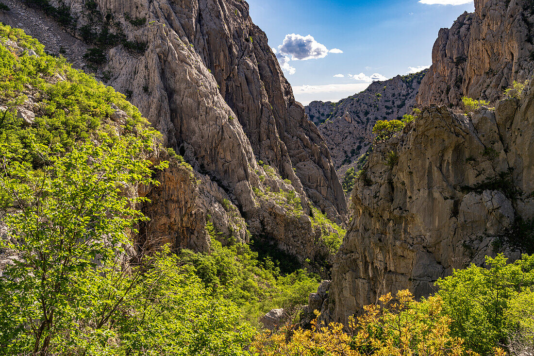  Velika Paklenica canyon in Paklenica National Park, Croatia, Europe  