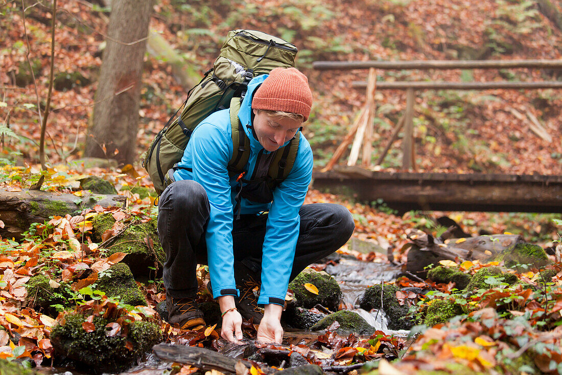  Hikers in the autumnal Palatinate Forest, Deidesheim, Rhineland-Palatinate, Germany 