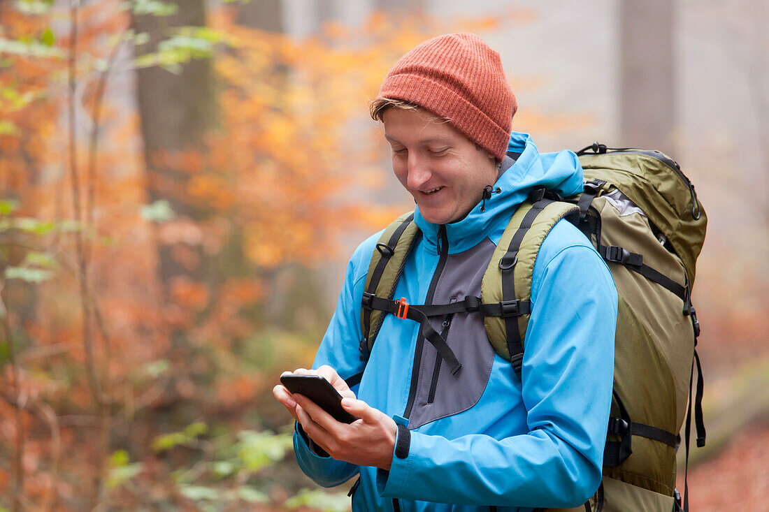  Hikers in the autumnal Palatinate Forest, Deidesheim, Rhineland-Palatinate, Germany 