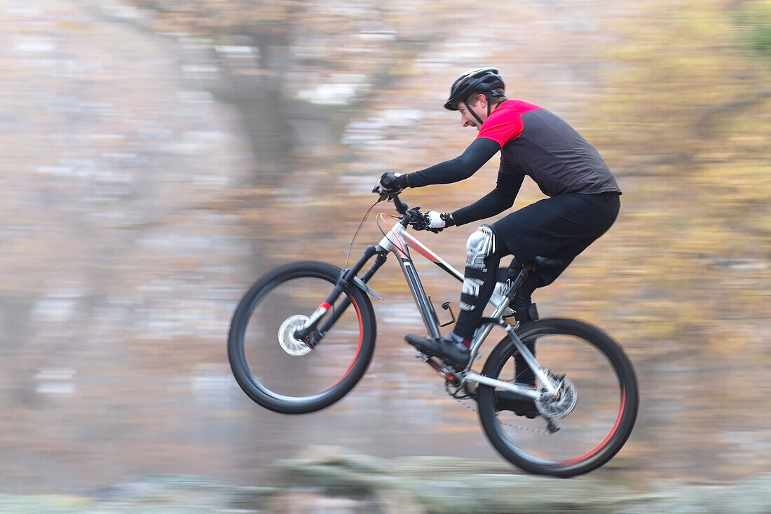  Mountain bikers in the Palatinate Forest, Neustadt an der Weinstraße, Rhineland-Palatinate, Germany 