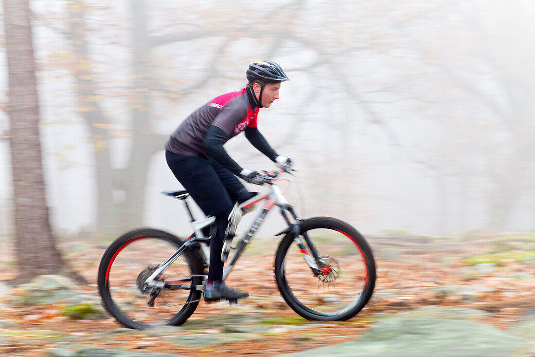  Mountain bikers in the Palatinate Forest, Neustadt an der Weinstraße, Rhineland-Palatinate, Germany 