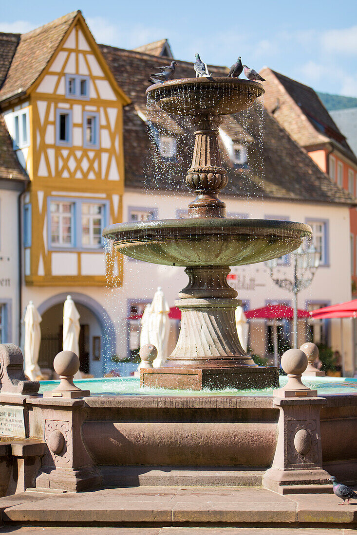 Der Königsbrunnen auf dem Marktplatz von Neustadt an der Weinstraße, Rheinland-Pfalz, Deutschland