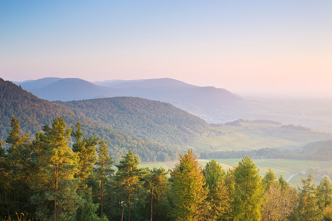 Blick vom Föhrlenberg auf Pfälzerwald und Rheinebene, Leinsweiler, Rheinland-Pfalz, Deutschland