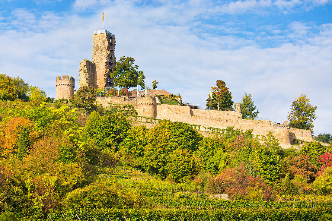  The Wachtenburg in autumn, Wachenheim an der Weinstraße, Rhineland-Palatinate, Germany 