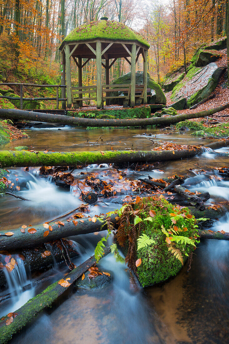 Der Pavillion in der Karlstalschlucht, Trippstadt, Rheinland-Pfalz, Deutschland