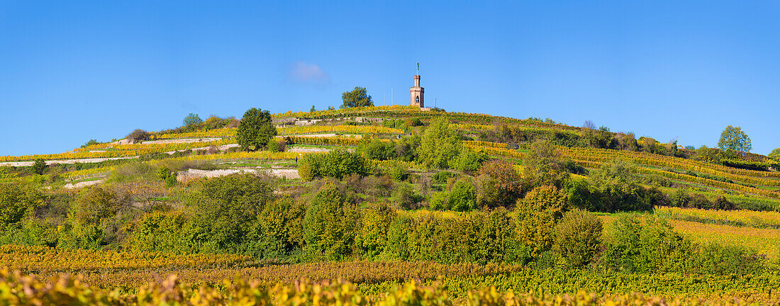  Panorama of the flag tower in the vineyards of Bad Dürkheim, Rhineland-Palatinate, Germany 