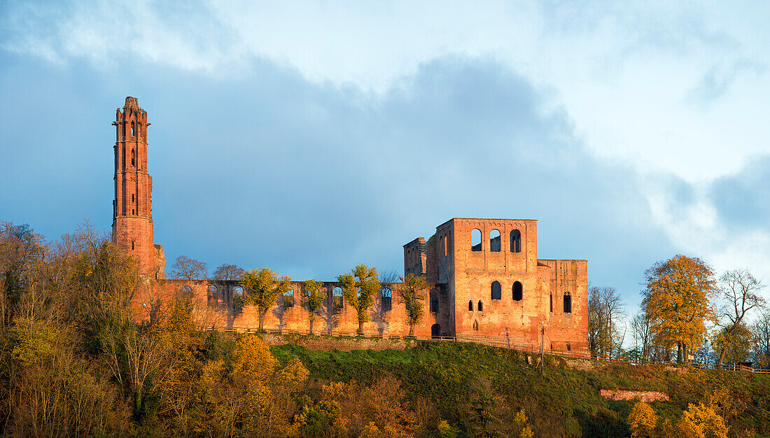  The Limburg monastery ruins in the first morning light, Bad Dürkheim, Rhineland-Palatinate, Germany 