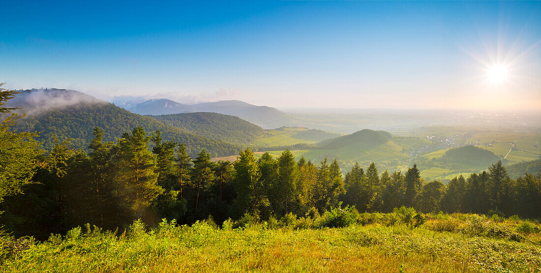 Panoramaaufnahme vom Föhrlenberg auf Pfälzerwald und Rheinebene, Leinsweiler, Rheinland-Pfalz, Deutschland