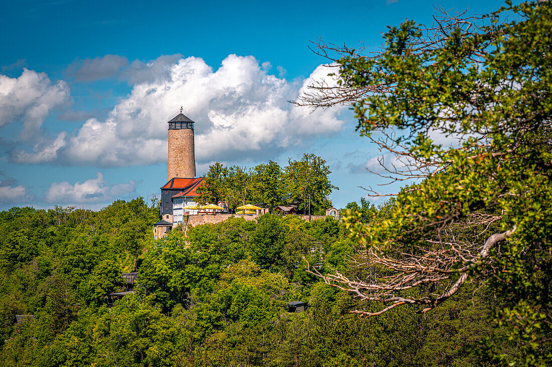  View of the Fuchsturm on the local mountain in Jena in summer with blue sky and white cumulus clouds, Jena, Thuringia, Germany 