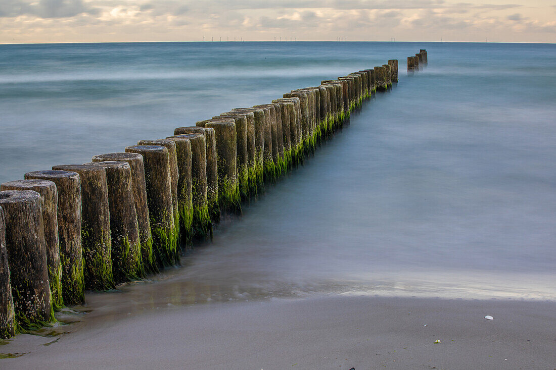  Baltic Sea beach with groyne, Zingst, Darß, Fischland, Baltic Sea, Mecklenburg-Western Pomerania, Germany, Europe 