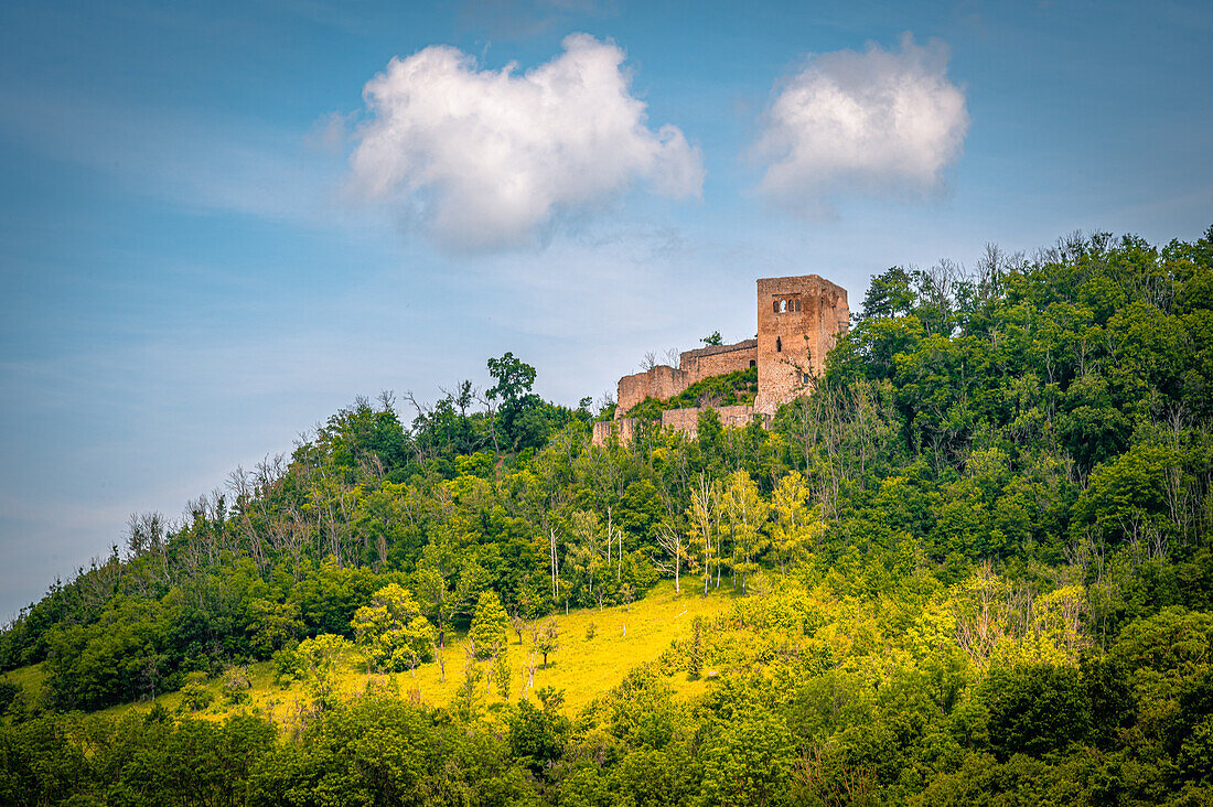  The ruins of the Lobdeburg on the Hausberg in Neulobeda, Jena, Thuringia, Germany 