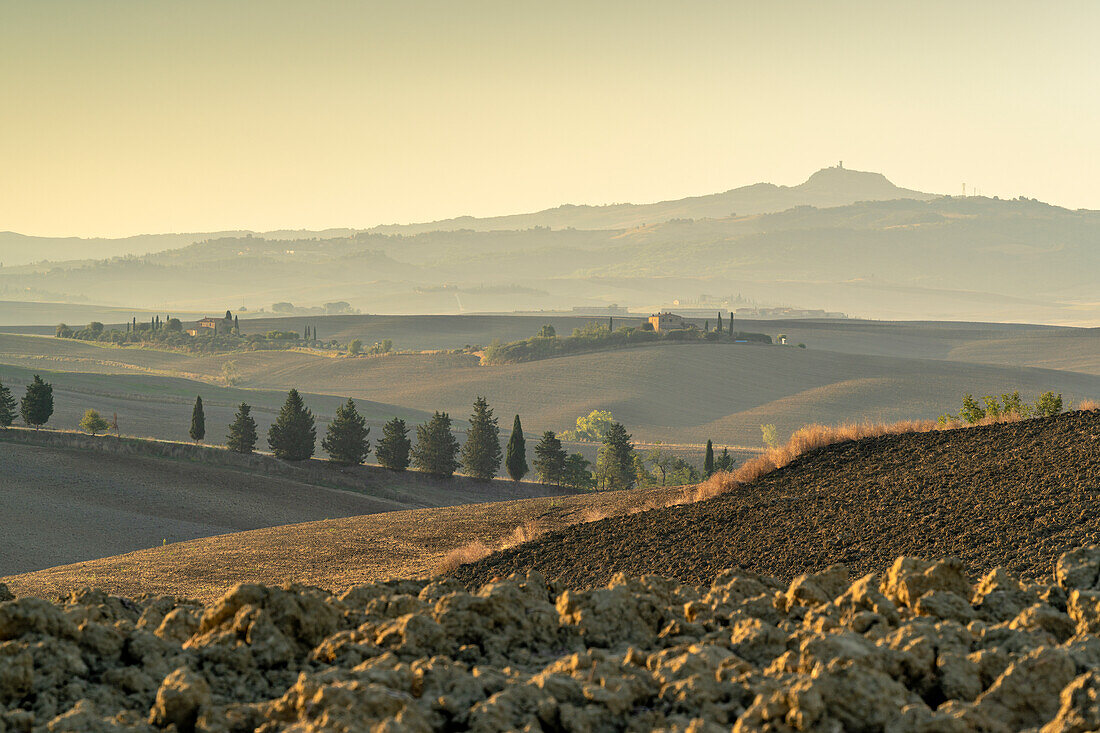 In den Hügeln unterhalb von Pienza im Morgenlicht, Val d'Orcia, UNESCO Weltkulturerbe, Provinz Siena, Toskana, Italien, Europa