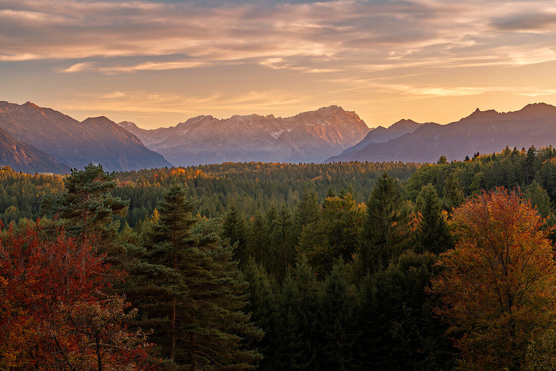  View from the Aidlinger Höhe to the Zugspitze in autumn, Bavaria, Germany 