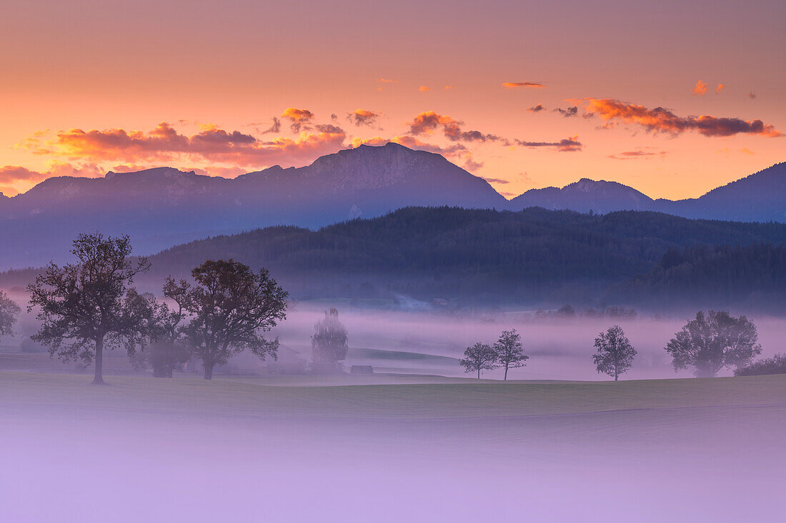 Bergblick, Alpenpanorama mit Nebel und Morgenrot in der Morgendämmerung im Alpenvorland, Bayern, Deutschland