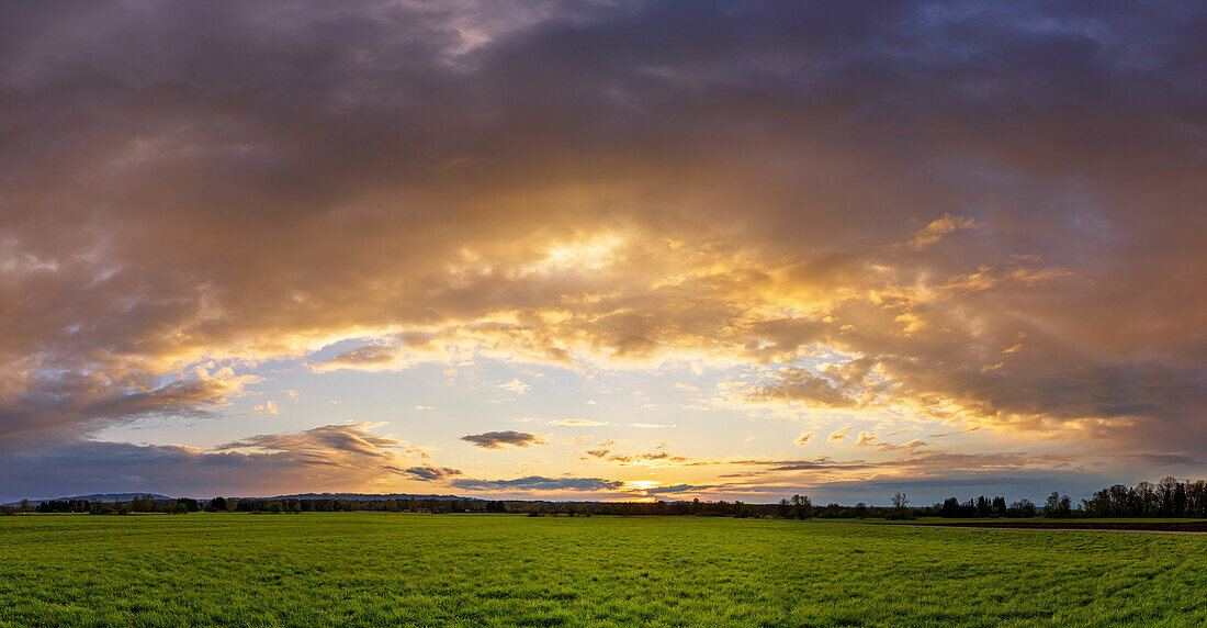 Dramatische Abendstimmung im Weilheimer Moos im Frühling, Weilheim, Bayern, Deutschland