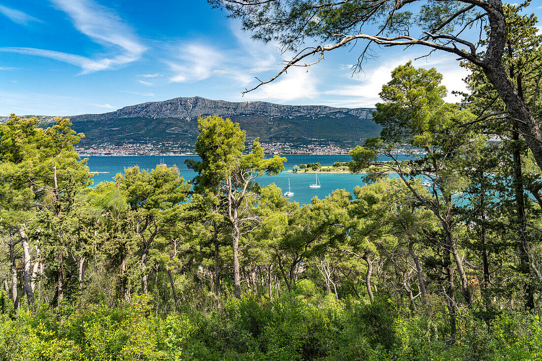  In Marjan Park of Split, Croatia, Europe 