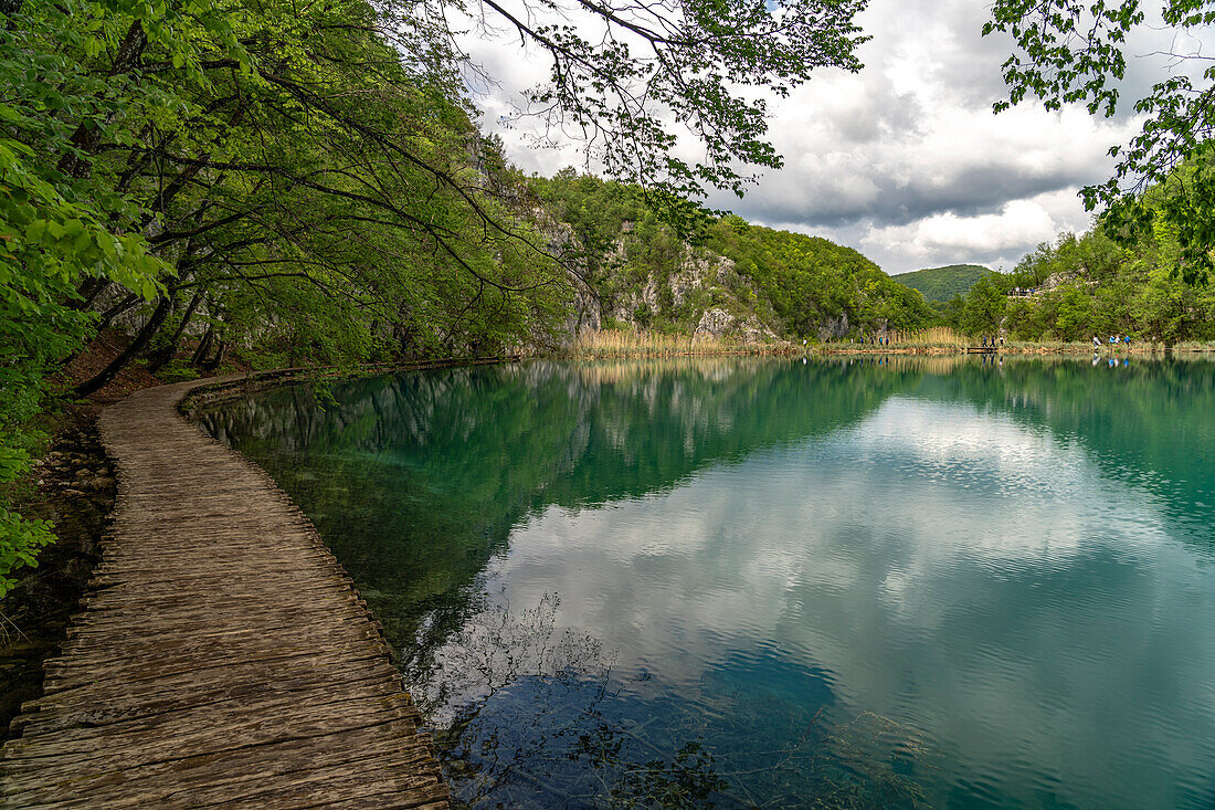  Path on wooden walkways in Plitvice Lakes National Park, Croatia, Europe 